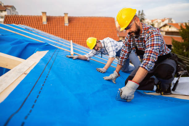 Best Solar Panel Roofing Installation  in Barron, WI